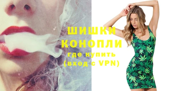 дживик Богородицк